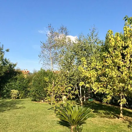 Loft Luisa Σπίτι διακοπών